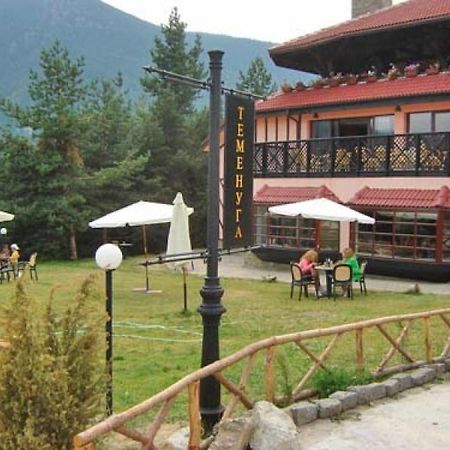 Hotel Temenuga Paničišče Exteriér fotografie