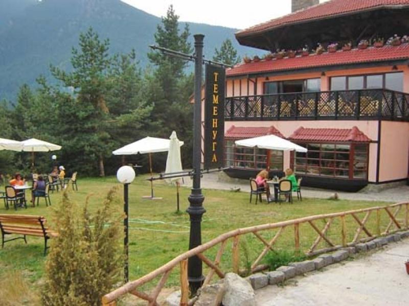 Hotel Temenuga Paničišče Exteriér fotografie